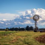 Windmill | Curlewis