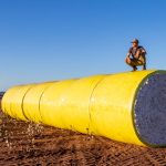 Backpacker | Cotton Bales